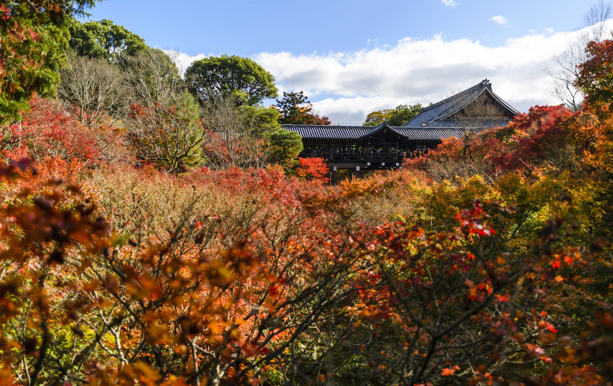 東福寺