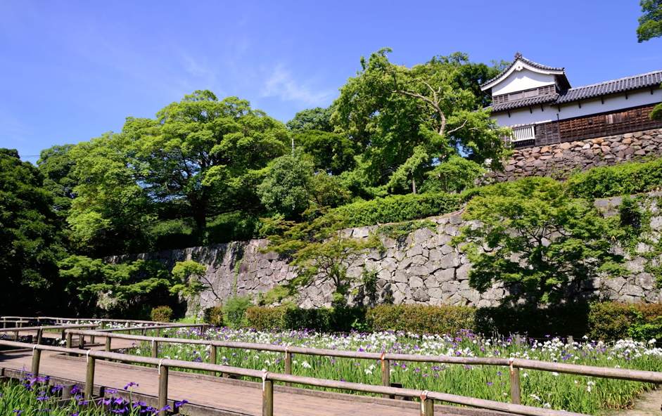 舞鶴公園