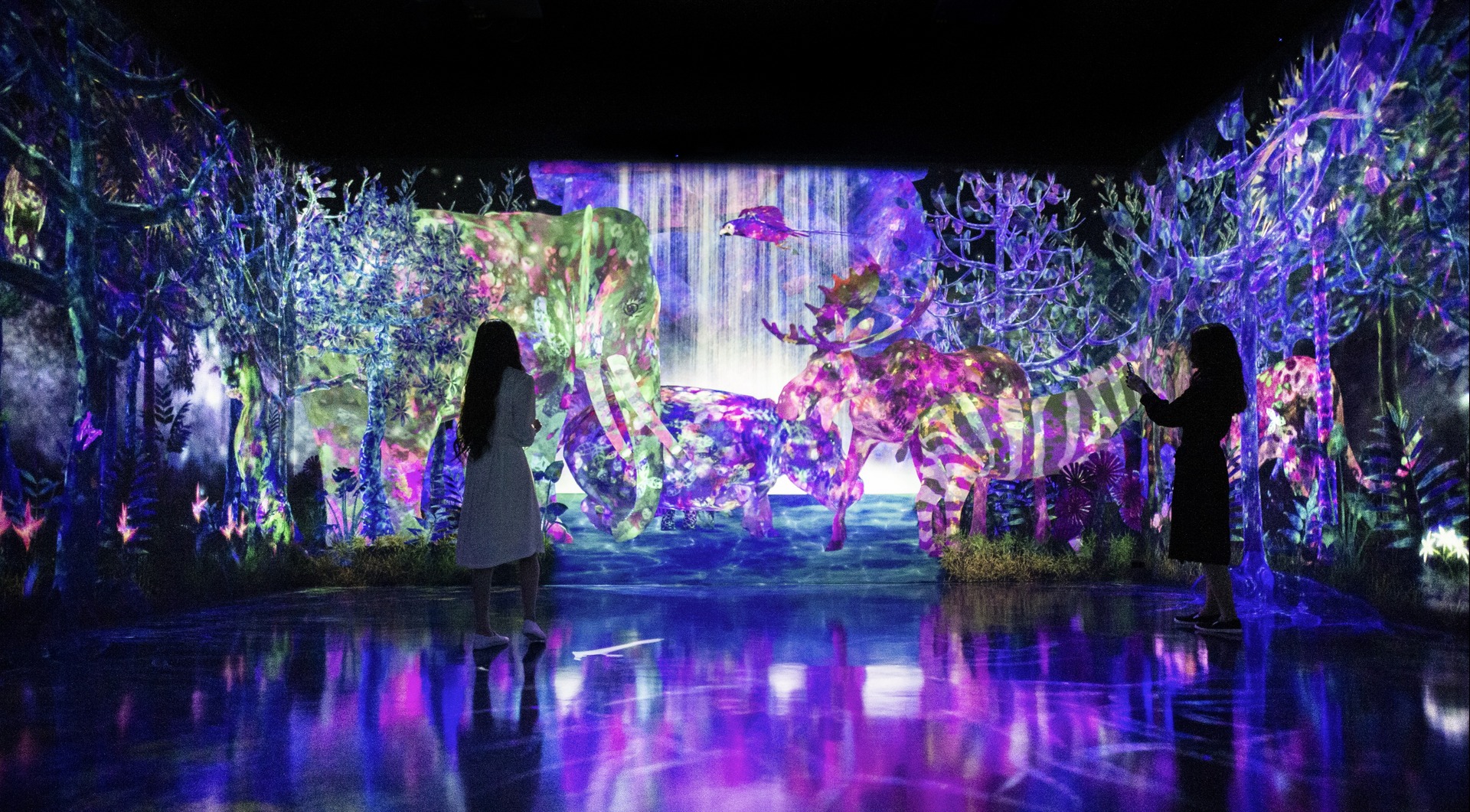 teamLab Forest