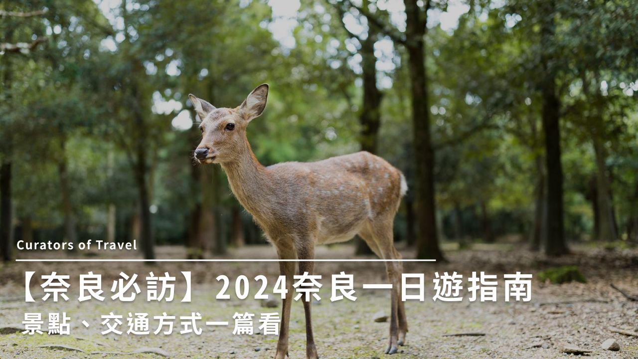 【奈良必訪】2024 奈良一日遊指南–景點、交通方式一篇看