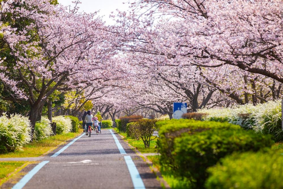 海之中道海濱公園