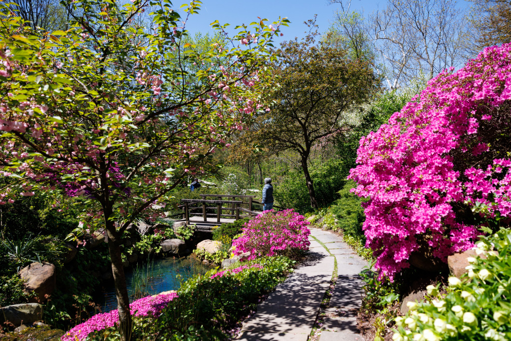 The Garden at Newfields | Newfields