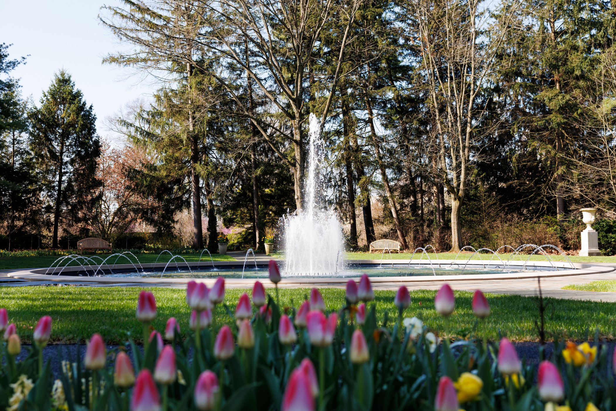 The Garden at Newfields | Newfields