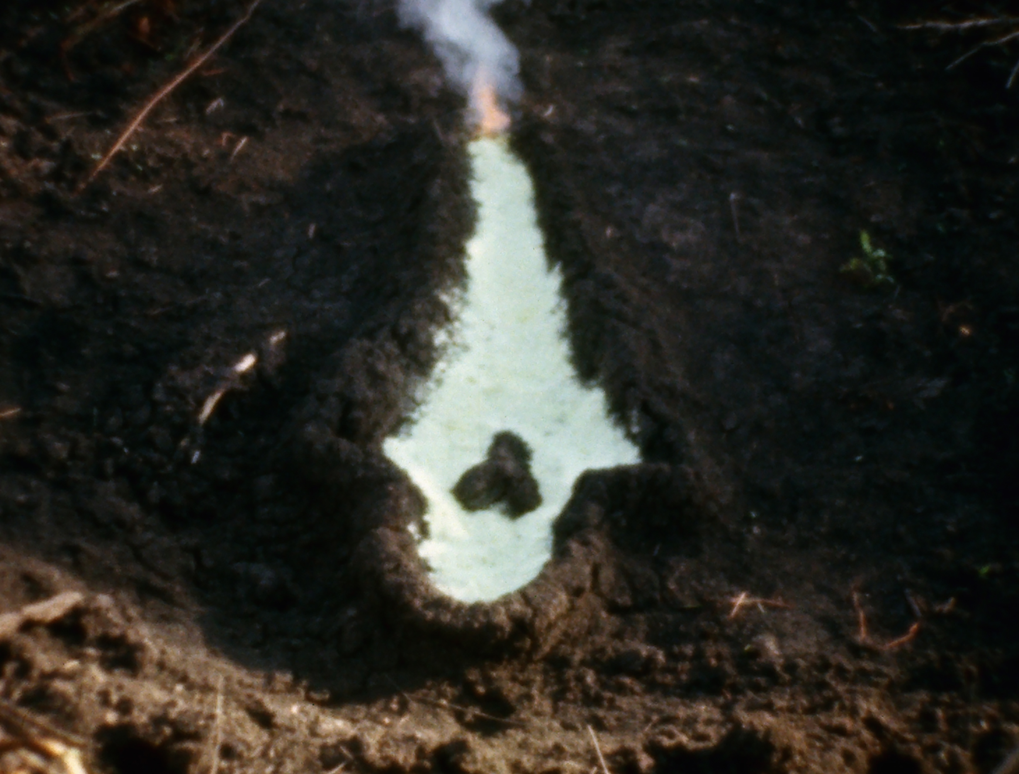 Artist to Know: Ana Mendieta (On View Now) | Newfields