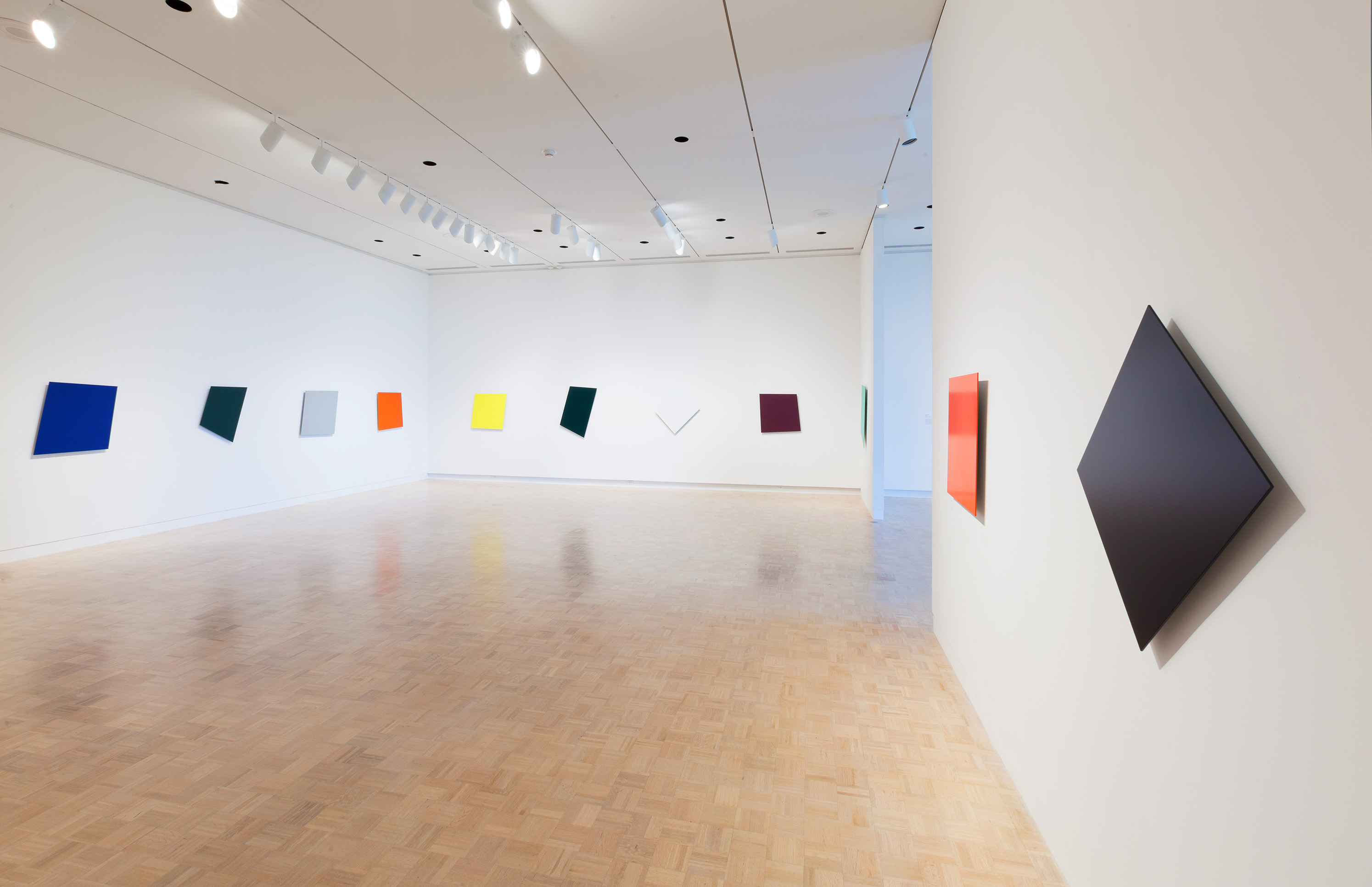 Maximum Color, Minimal Form: The Panels of Ellsworth Kelly
