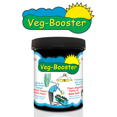 veg booster web