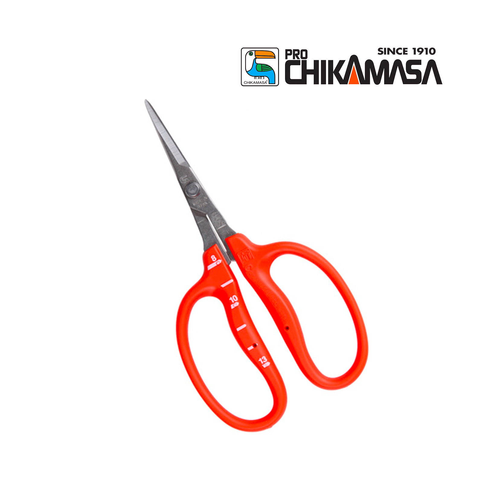 Chikamasa B-500S  Stainless Steel