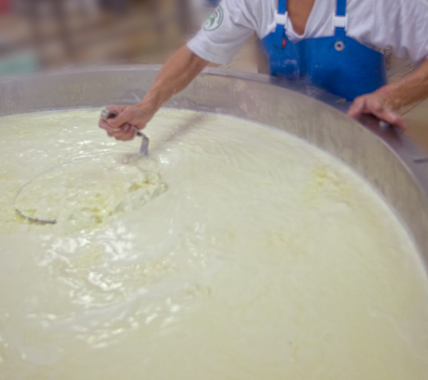 Fromages Brucciu AOP Corsica fabrication