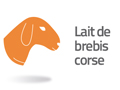 picto - Lait de brebis corse