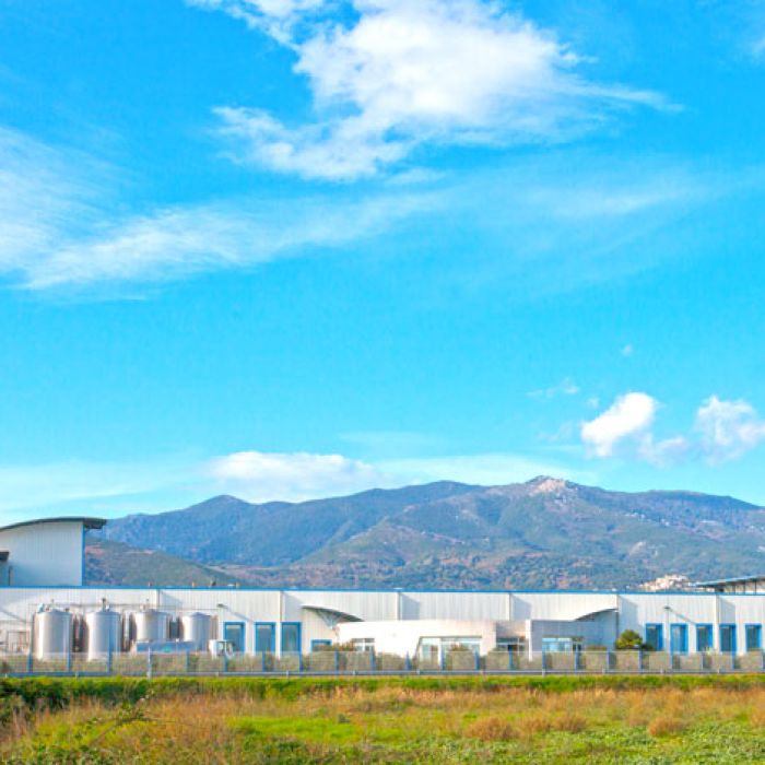 La société fromagère Corse