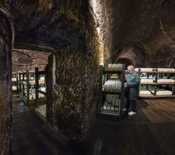 Caves Roquefort Societe