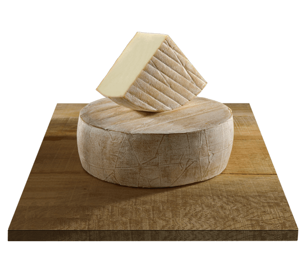 TOMME DE BREBIS
