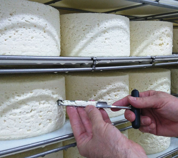 BLEU DE BREBIS - Affinage