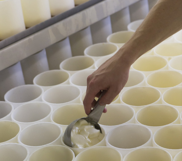 CAMEMBERT DE NORMANDIE AOP Jort