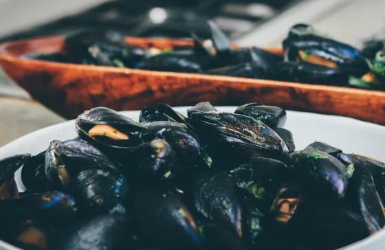Ångande musslor i Belgien