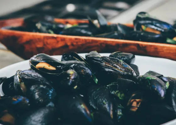 Ångande musslor i Belgien