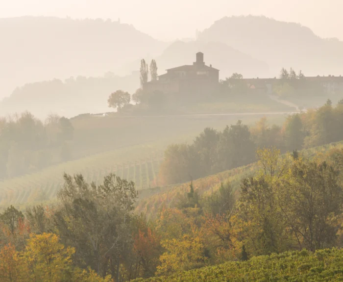 Vineyards in Tuscany