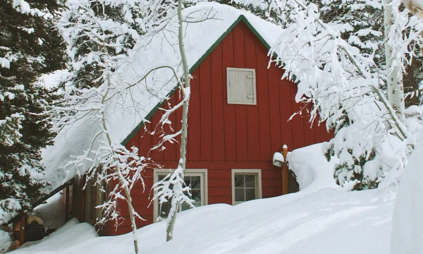 Skandinavisk vinter