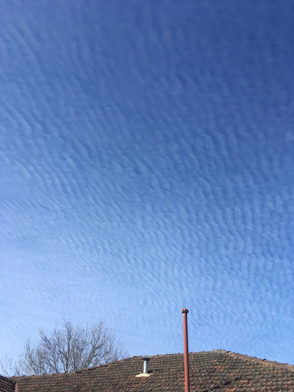 Stratocumulus sky