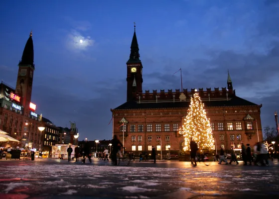 Det traditionelle juletræ lyser op på Rådhuspladsen i København.