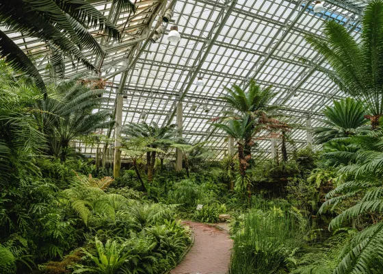 Garfield Park Conservatory