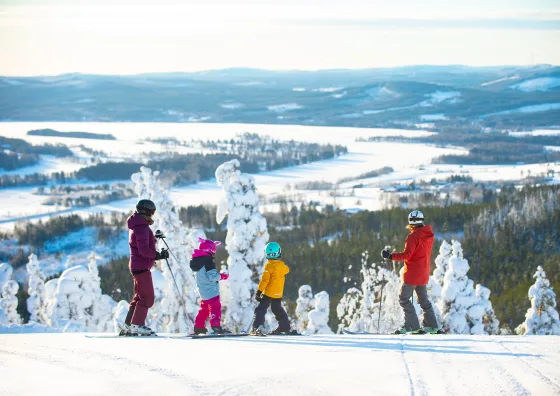 The ski destination Järvsö