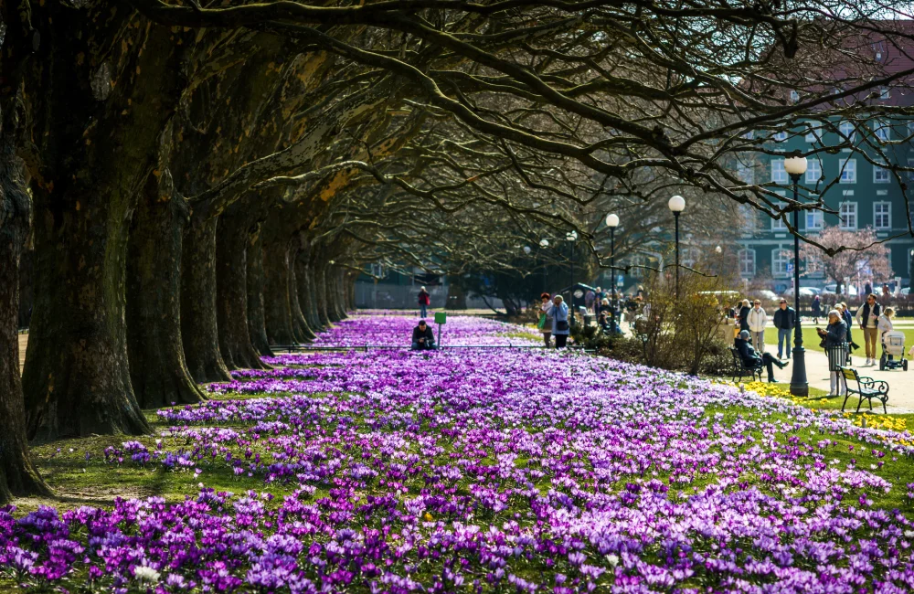 Park Kasprowicza Szczecin