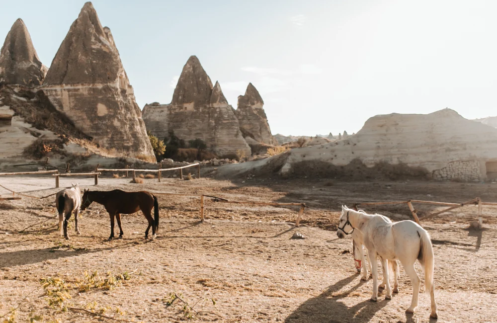 Experience Cappadocia on horseback