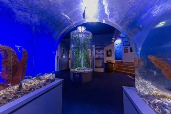 Drøbak Saltwater Aquarium
