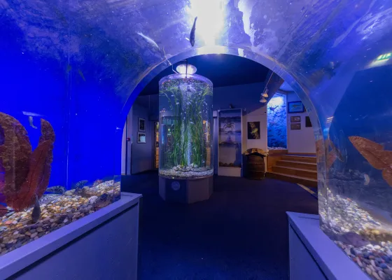 Drøbak Saltwater Aquarium