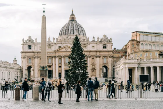 The majestic Vatican Christmas tree