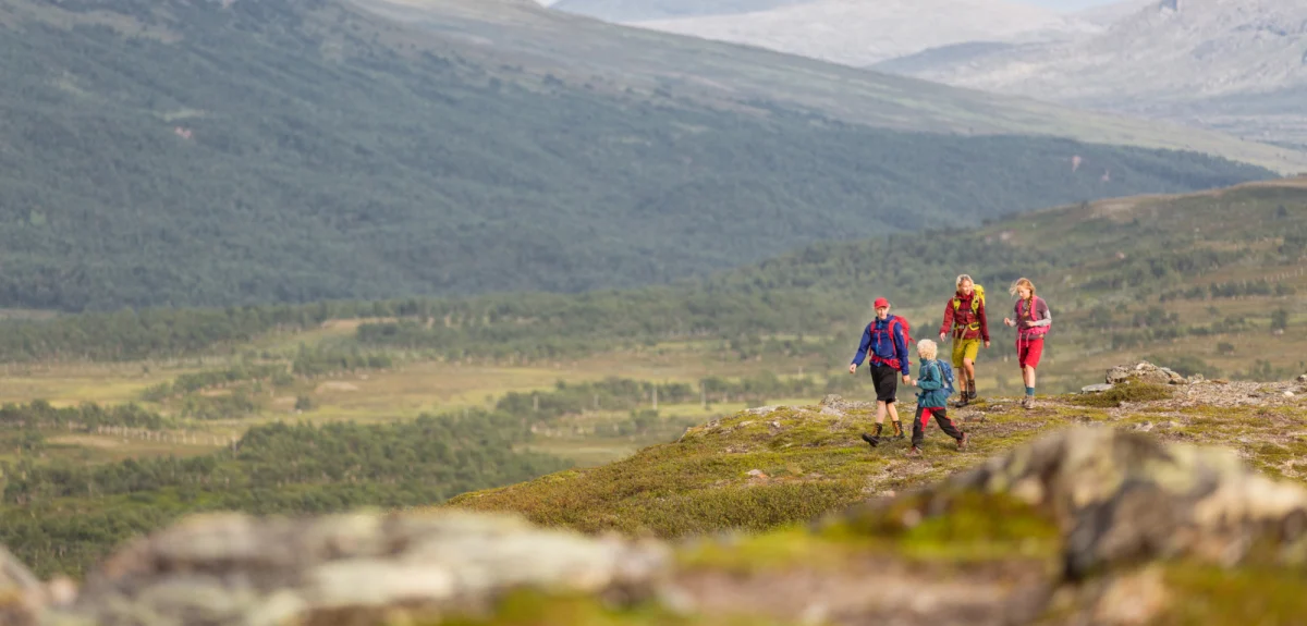 Vandring i Sverige