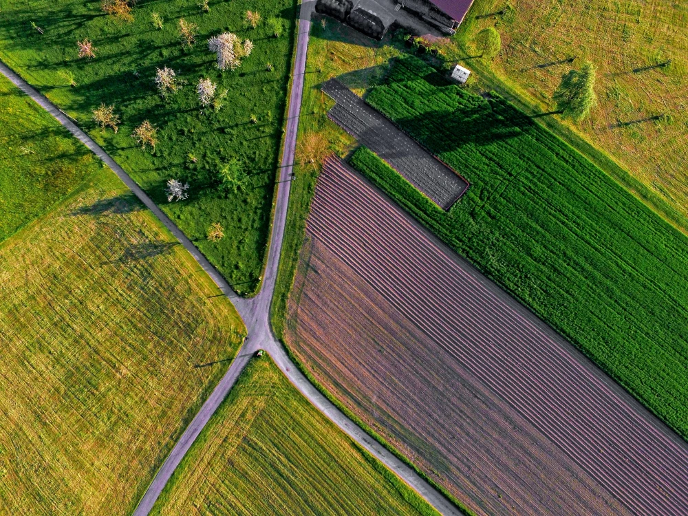 Aerial view of green fields