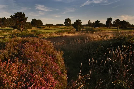 Walton Heath Golf Club in Surrey.