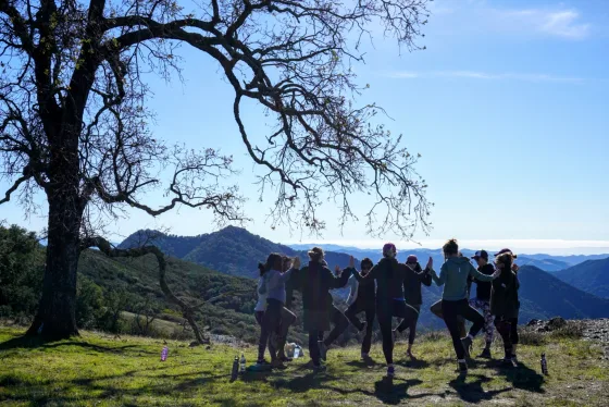 En grupp människor som gör yoga tillsammans i bergen i Kalifornien