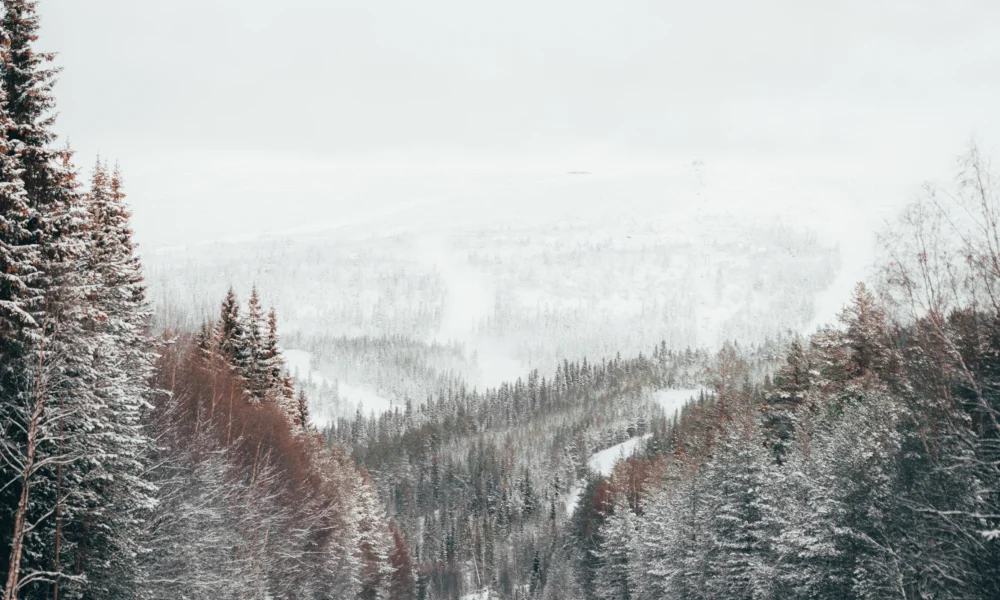 Vemdalen winter