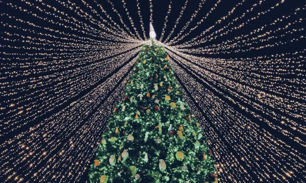 Spektakulær juletræsbelysning