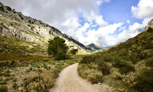 MTB på Mallorca