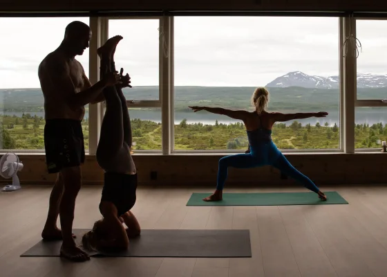 People doing yoga at Nøsen Yoga og Fjellhotell