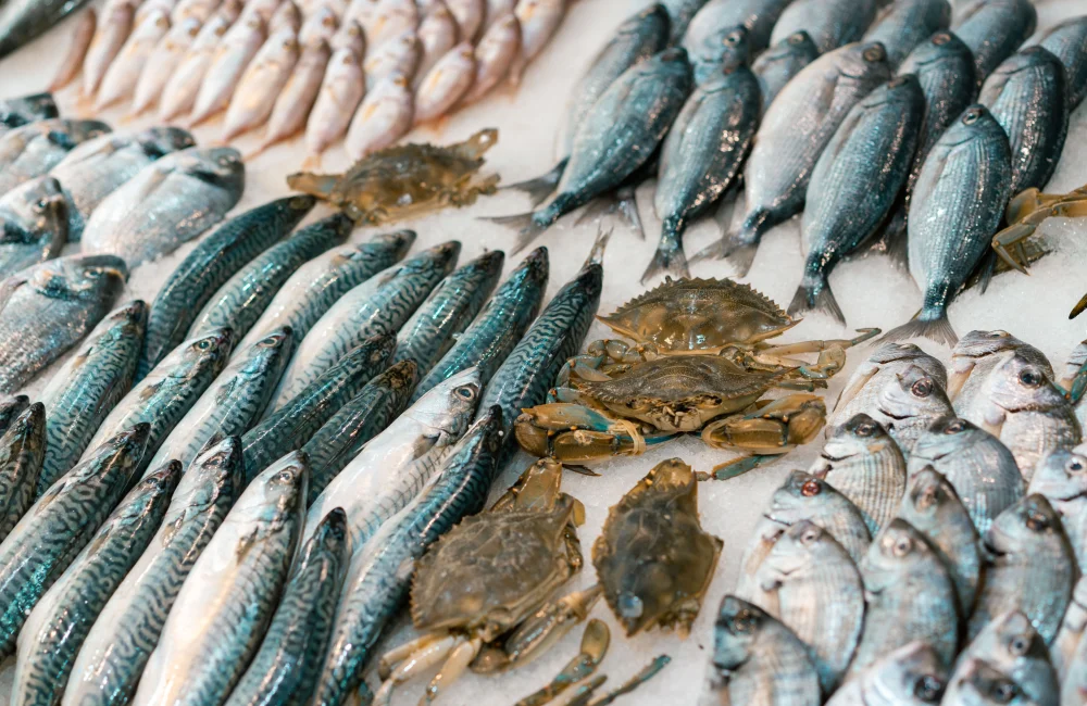 Fish market, Bari