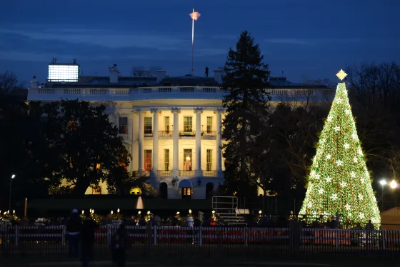 The traditional White house Christmas tree.