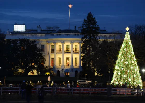 The traditional White house Christmas tree.