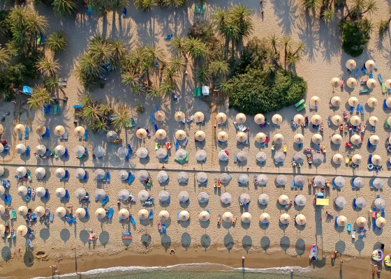 Solstolar, parasoller och palmer på Vai Beach