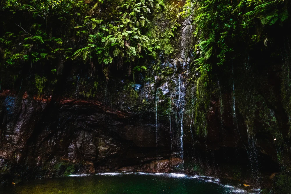 A waterfall in Madeira