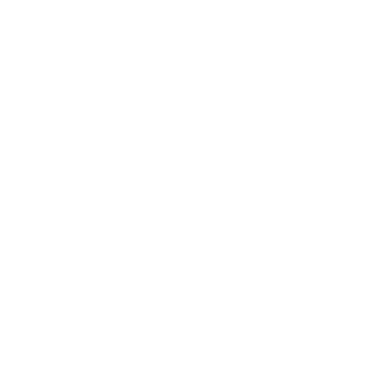 Toronto Guardian logo