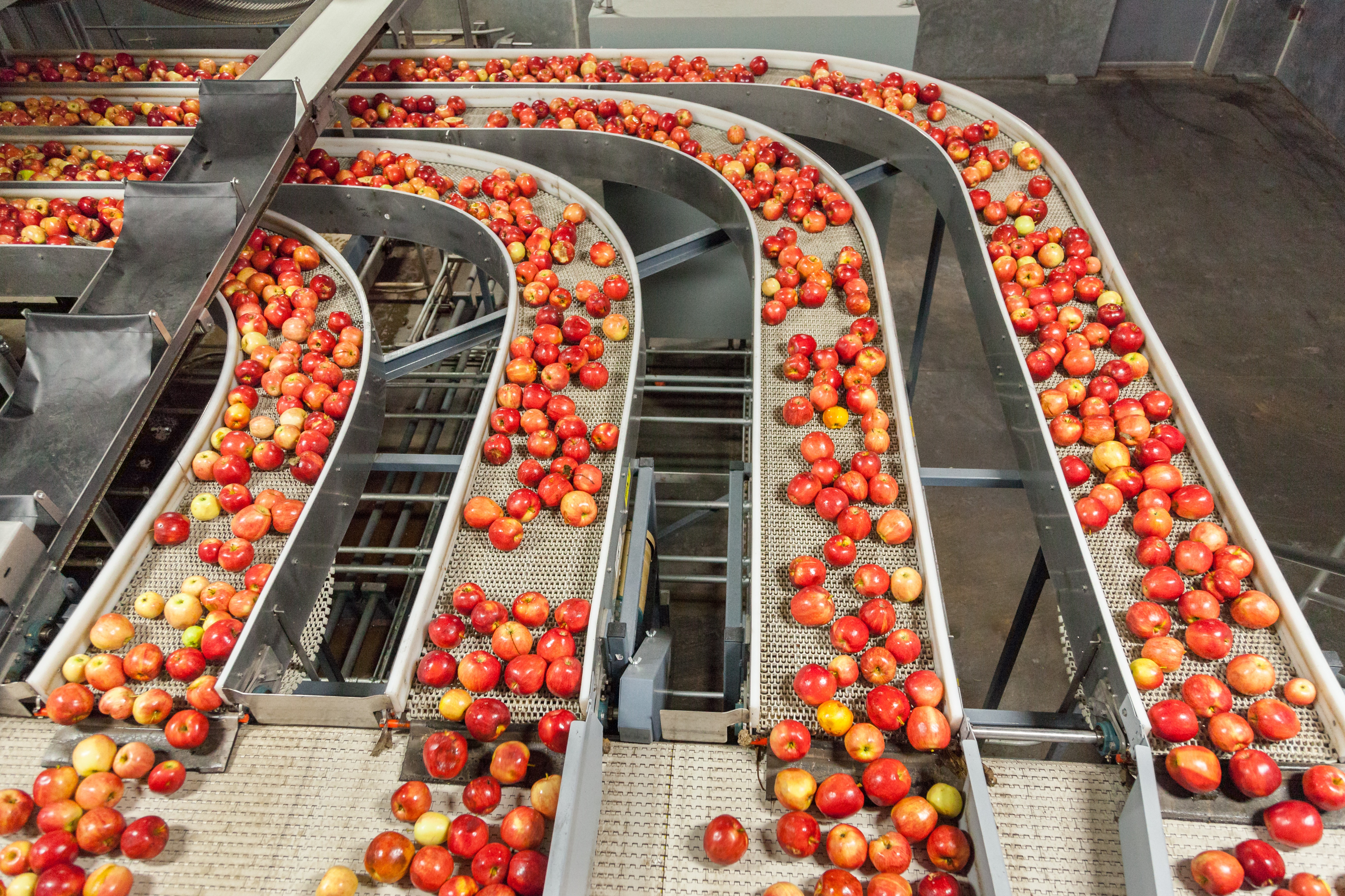Fresh Produce Safety