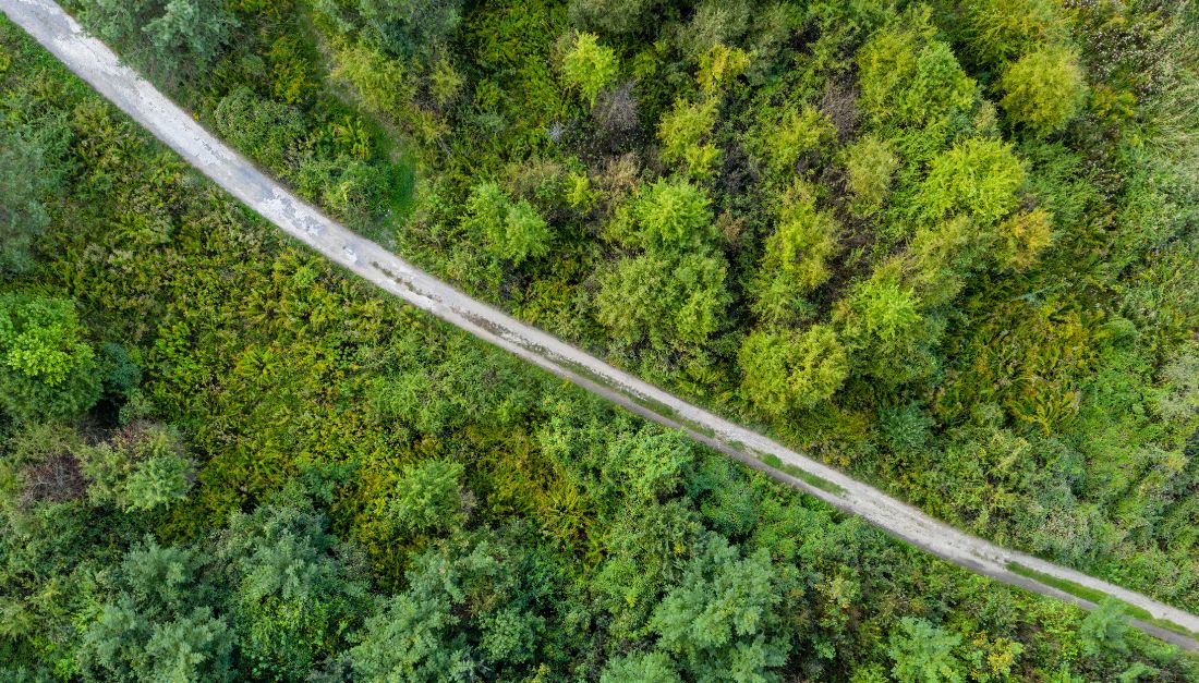 EUDR Delay News, Updates & Guidance QIMA