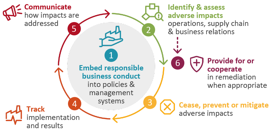 in-line-due-diligence-cycle