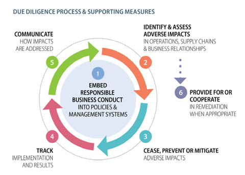 OECD 6 step due diligence framework