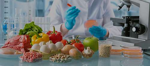 Quick Guide: The path to good food safety management
